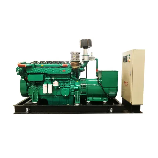 200 kW Biogas Generator Set 250 kVA 50/60 Hz Plant Equipment