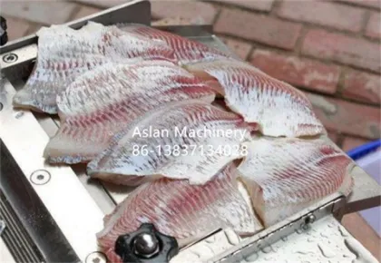 Carp Peeler - Fish Skin Peeling Machine