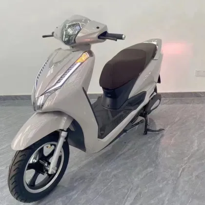 Global Compliant E-Motorcycle | 800W-2000W | CKD Flexible