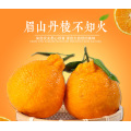 Top Quality Valencia Oranges