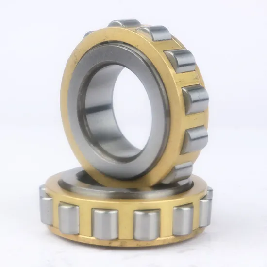 RN308 Cylindrical Roller Bearing Silver Stainless Steel