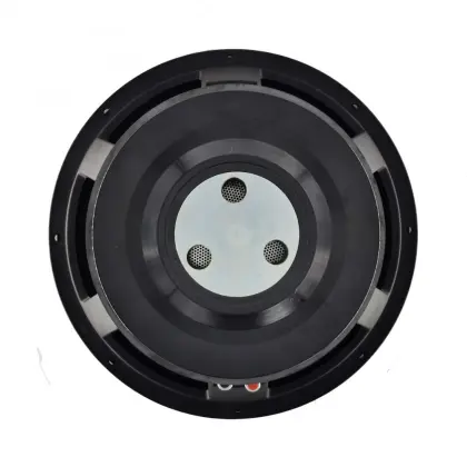 High Power 600 Watts 12" Pro Audio Speaker