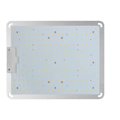 One end quantum plate PD-L01