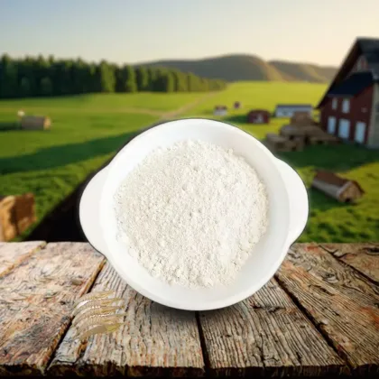 Pure Natural Garlic Extract Allicin Powder