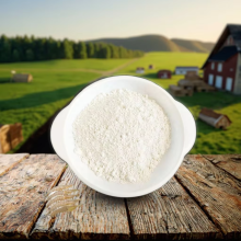 Allicin Garlic Powder Feed Pure Natural Garlic Extract Allicin Powder Manufactory