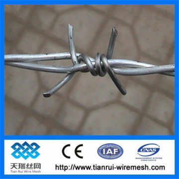 barbed wire/barbed wire for sales