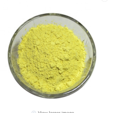 supply quercetin sophora japonica extract