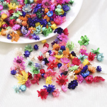 200PCS Dried Flower Head Daizy Glass Cover Nail Art Filling Epoxy Hand Craft DIY