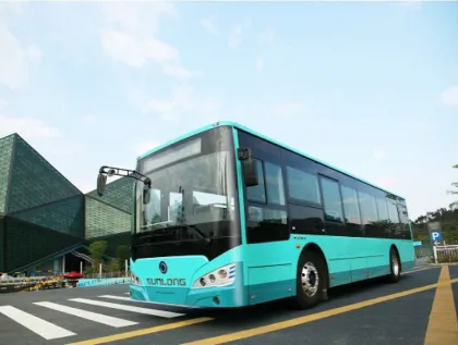 Microcirculation Autonomous Electric City Buses