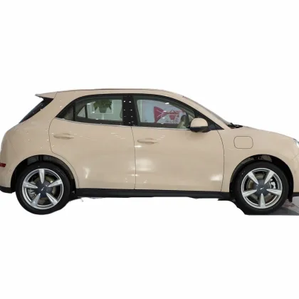 Long Endurance 400km Electric Car with Standard Battery