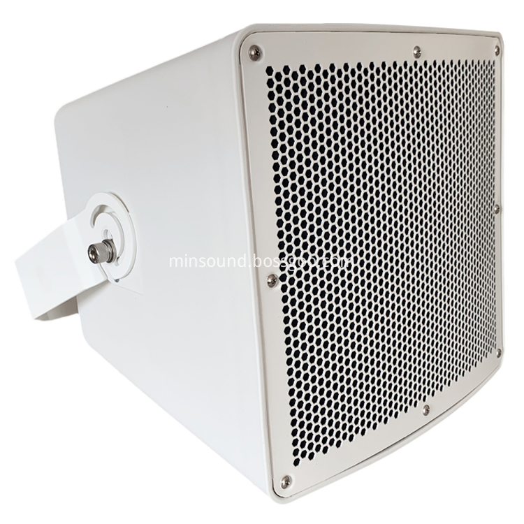 Altoparlante a corno ad alta potenza High Power Horn Speaker