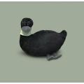 Black and white Koda duck realistic stuffed animal