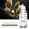 Magnolia Magnolia Falllia Flase равғанҳои Magnoliae равғани магнолияро барои равғани молӣ