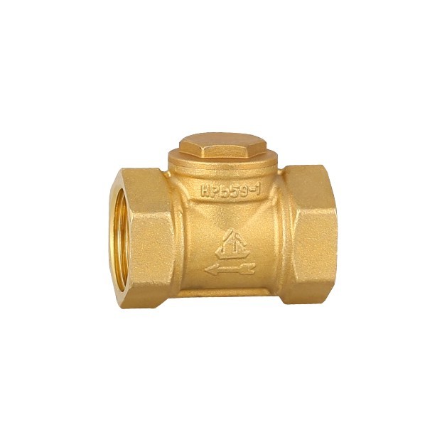 Brass check valve