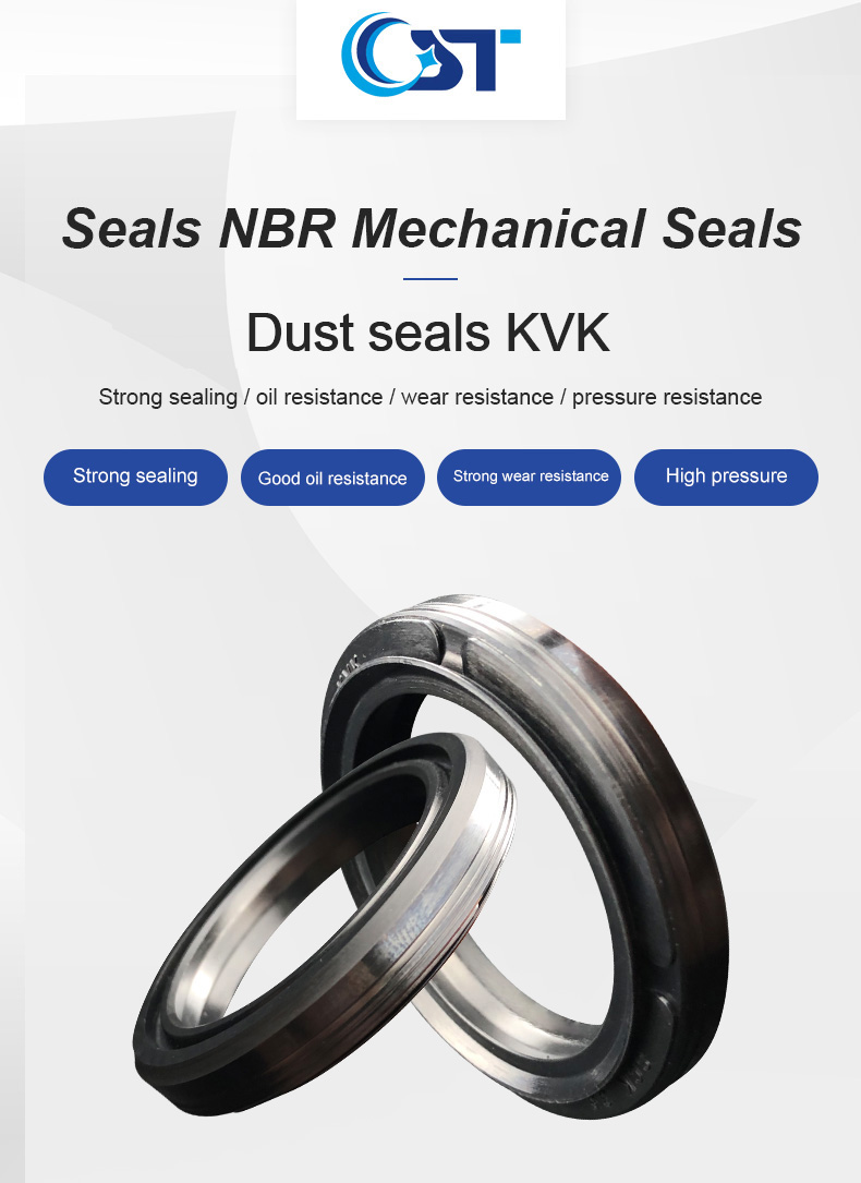 Sck Dust Seal Nbr