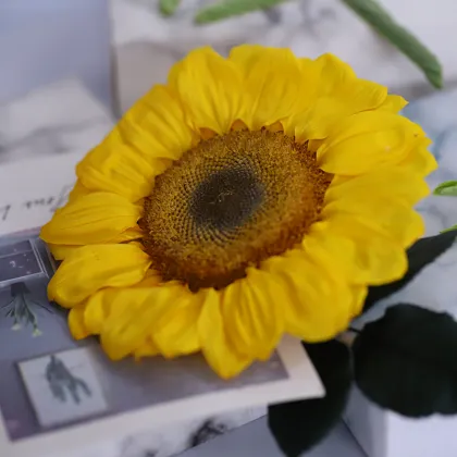 Yunnan Wholesale Preserved Sunflower Yellow: Flower Boxes and Heads