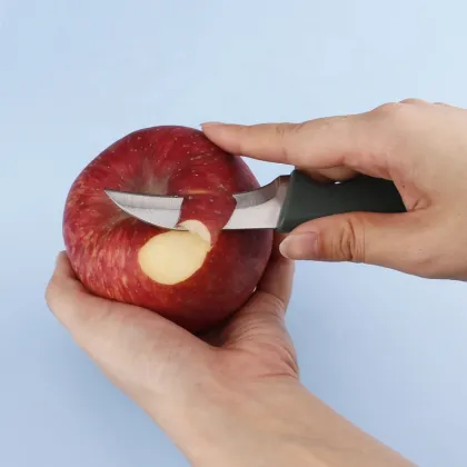 High-Quality Small Fruit Knife with Plastic Handle and Eagle Design