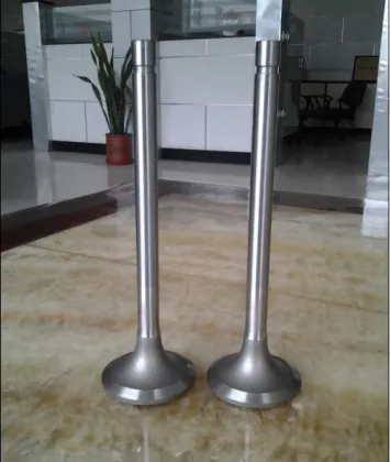 B&W Marine Engine Parts Valve Intake Valve