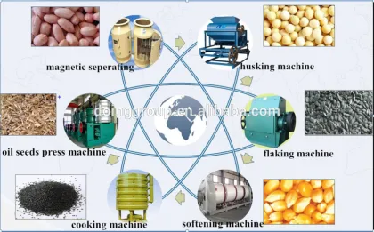 Hot sale rice bran oil machine /rice bran oil extraction machine in south Africa