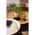 Conjunto de 2 mesa de café minimalista moderna