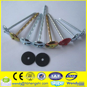 Galvanized roofing nail/big head roofing nail/13G roofing nail