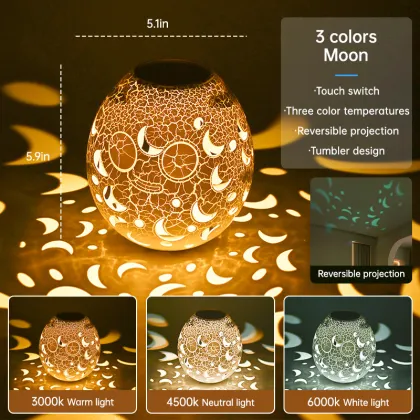 RGB Rechargeable LED Goose Egg Tumbler Night Light