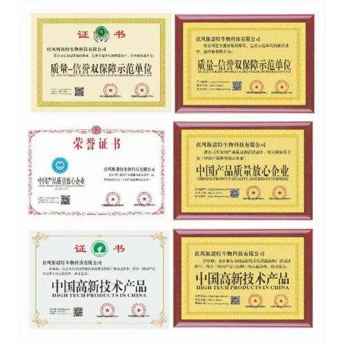 Natural Myrobalan Seed Extract Terminalia Chebula Extract