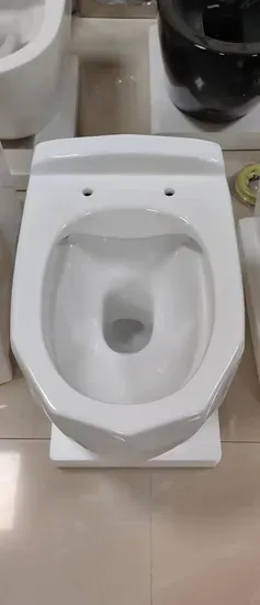 Luxury Wall-Hung Toilet