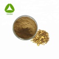 Scutellaria Baicerensis-Wurzel / Huangqin-Extraktpulver