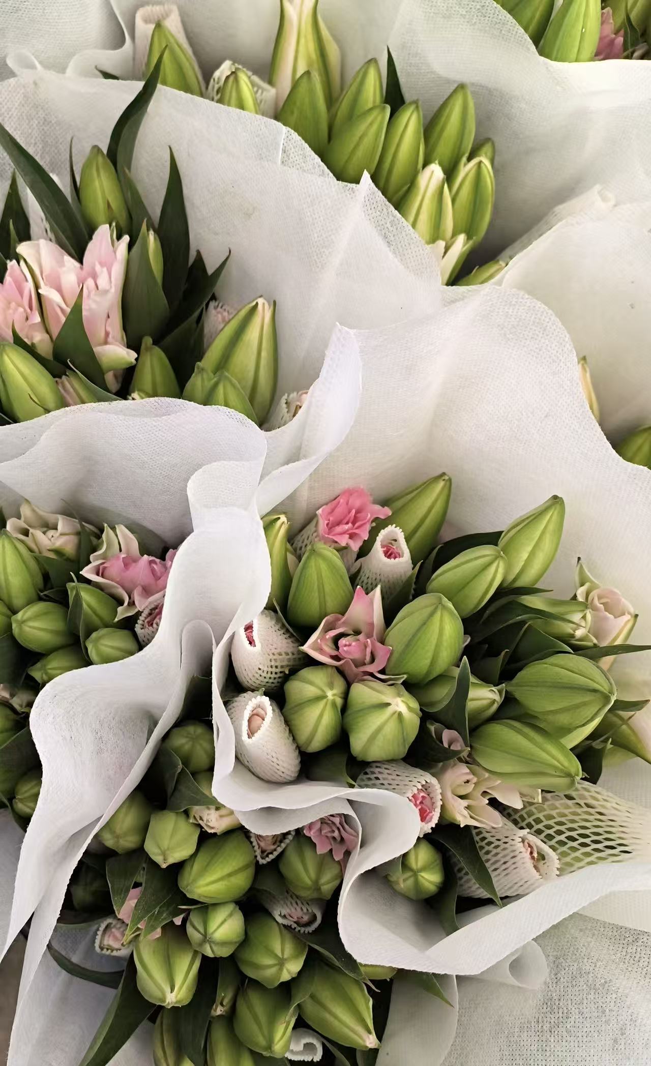Red Ribbon Double Spray Lily