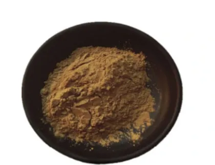 Ganoderma Lucidum Extract Powder