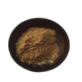 Polvo de extracto de Ganoderma Lucidum