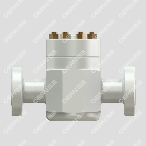 Lift Check Valve
