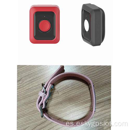 Smart GPS Tracker para PET