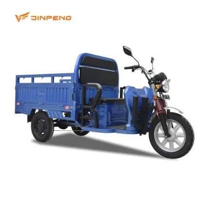 Big Battery 3-Wheel Electric Cargo Tricycle