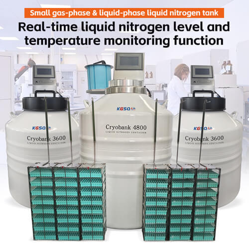 montserrat stem cell liquid nitrogen tank KGSQ