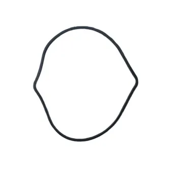 QSX ISX QSX15 ISX15 X15 Camshaft Cover Gasket for Construction Machinery: 3679931