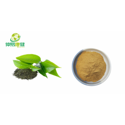 Plant Polyphenol EGCG50% 98% Green Tea Extract Tea polyphenol Manufactory
