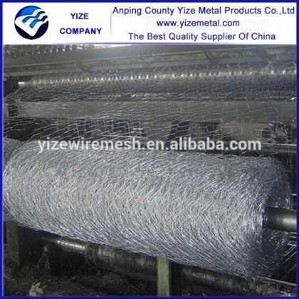 China Manufacturer brand hexagonal wire mesh