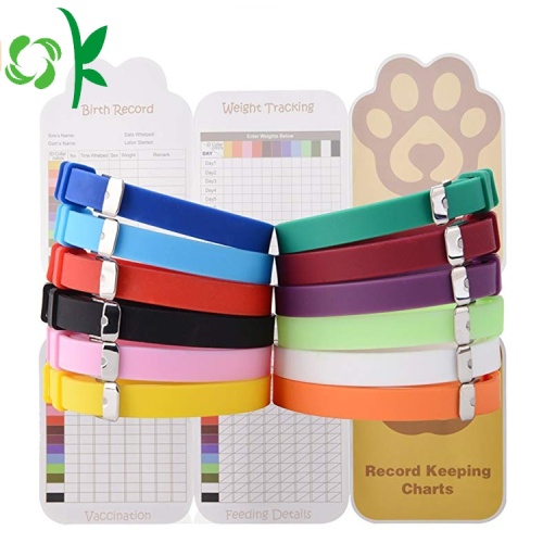 อุปกรณ์เสริมสำหรับสัตว์เลี้ยง Dog Collar ปลอกคอแมวซิลิโคน