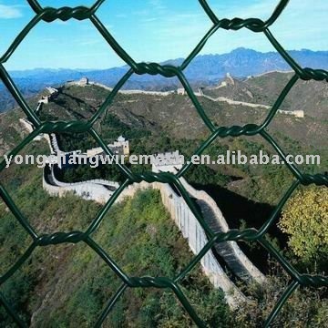 Chicken Wire Mesh