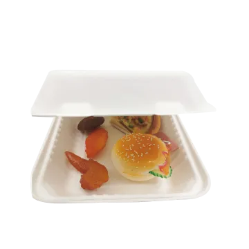 Disposable 8inch Sugarcane Bagasse Clamshell Food Containers