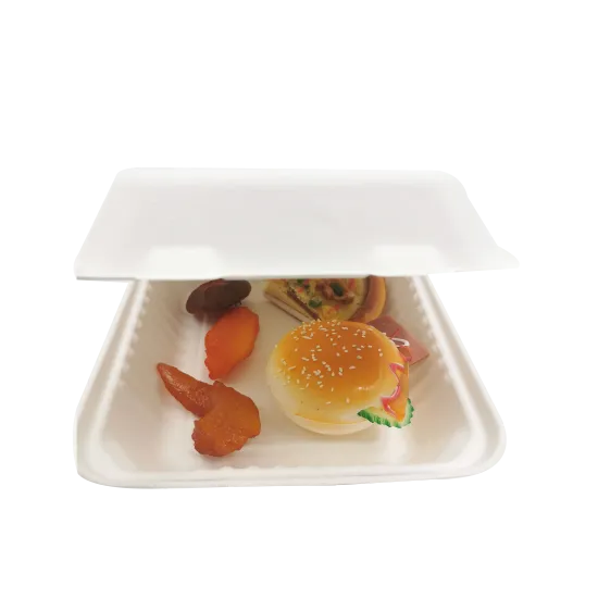 Disposable 8inch Sugarcane Bagasse Clamshell Food Containers