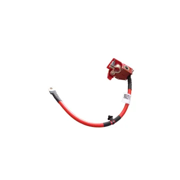 BMW 3 Series G20 G28 OE 61128796155 Cheap Price Auto Spare Parts Car Battery Cable