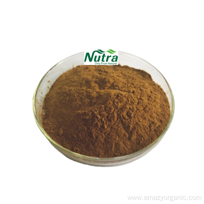 Natural Health Products Kombucha Tea Extract Powder