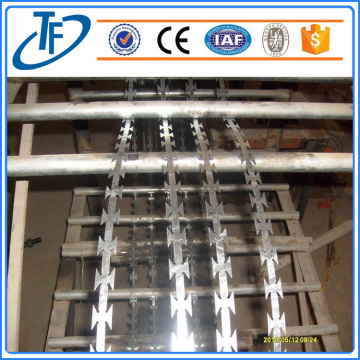 Welded Razor Barbed Wire Fence Panel