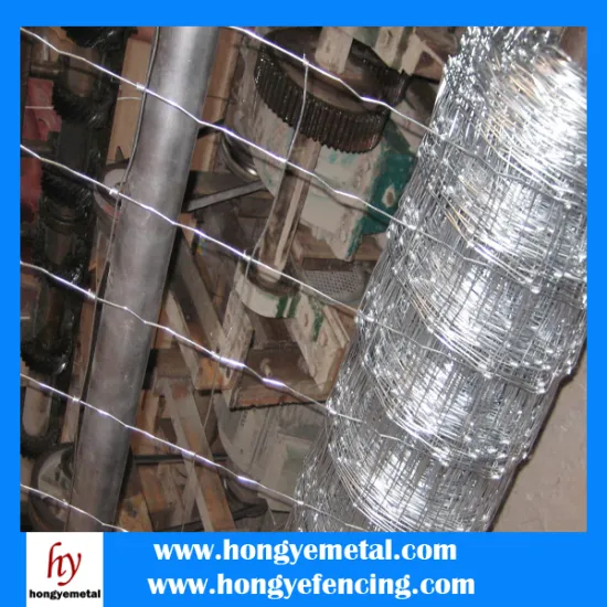 cattle electric fence