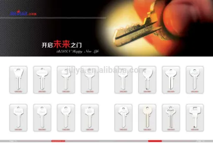 blank key cisa brass key
