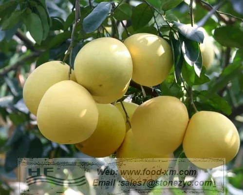 yellow shaddock tasty honey pomelo