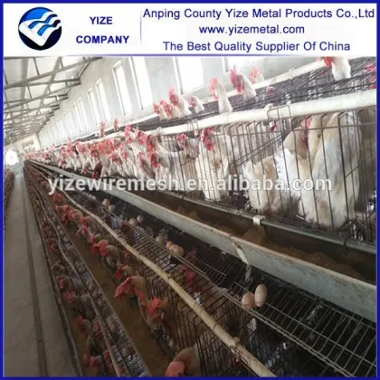 welded chicken cage wire mesh/chicken wire cage/wire mesh cage chicken layer for kenya farms